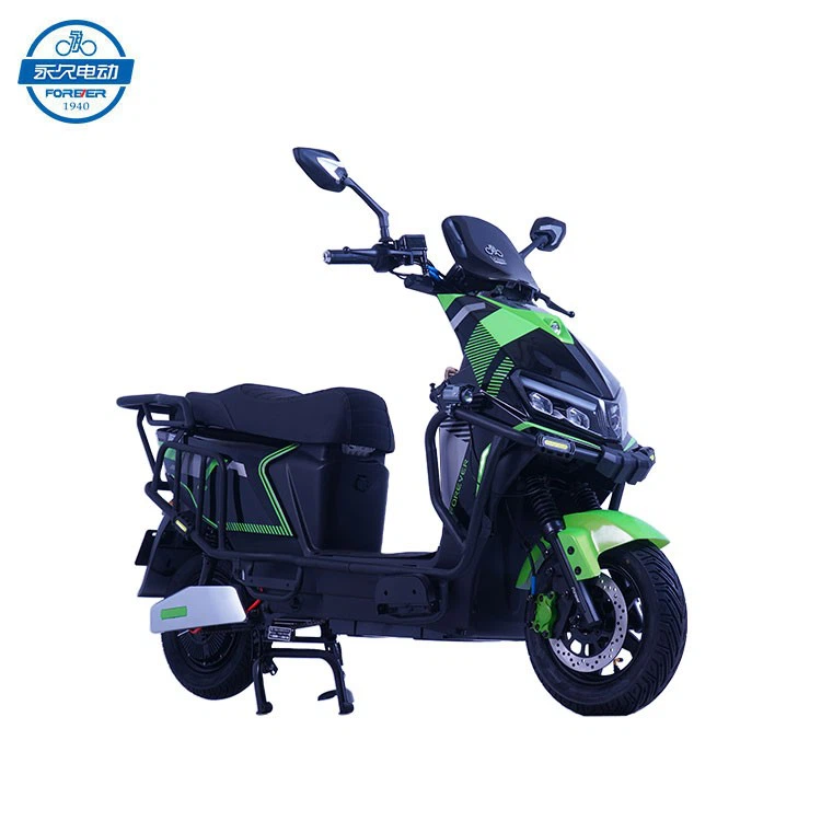 Adult Electric Motorcycle